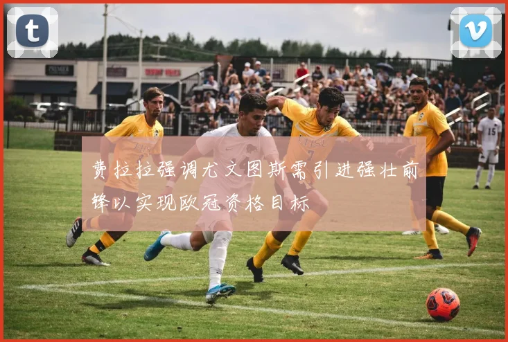 费拉拉强调尤文图斯需引进强壮前锋以实现欧冠资格目标